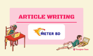 Article Writing meterbdshop
