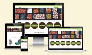 thermograintech.com 1