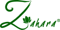 main-logo